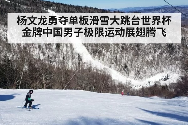 杨文龙勇夺单板滑雪大跳台世界杯金牌中国男子极限运动展翅腾飞